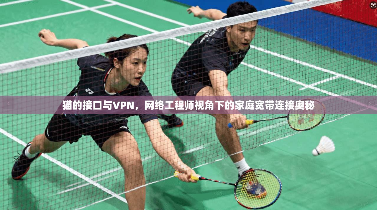 猫的接口与VPN，网络工程师视角下的家庭宽带连接奥秘