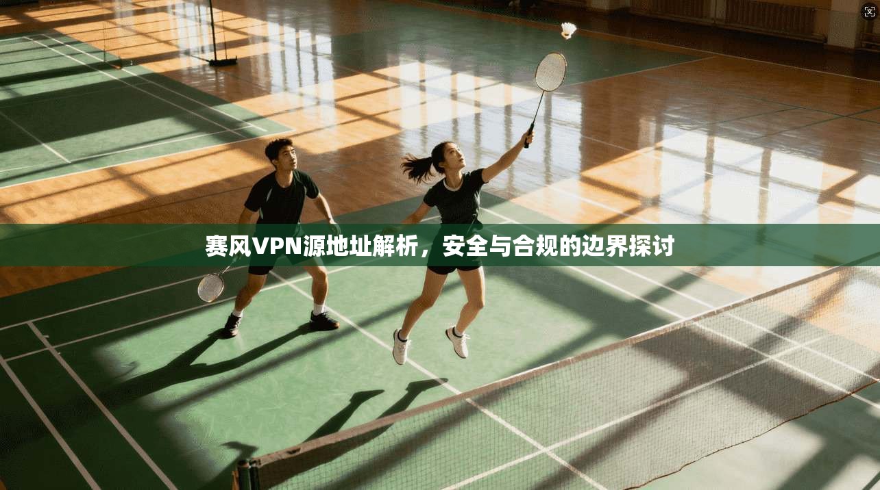 赛风VPN源地址解析，安全与合规的边界探讨