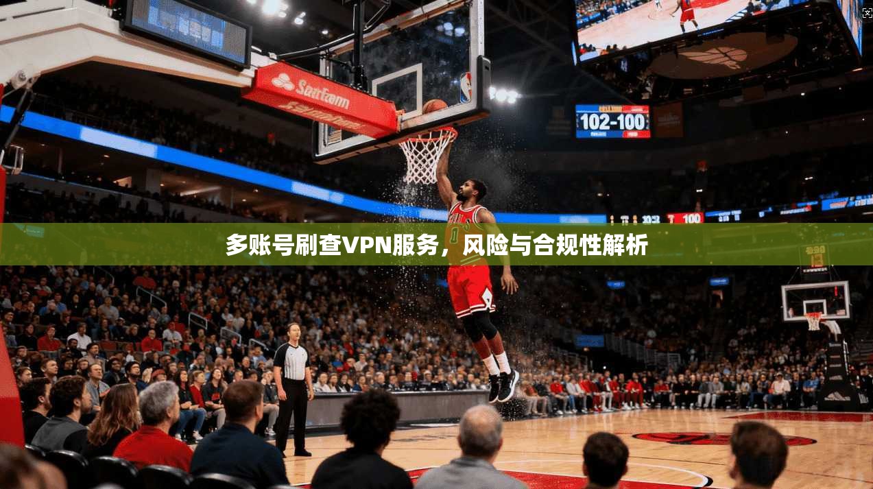 多账号刷查VPN服务，风险与合规性解析