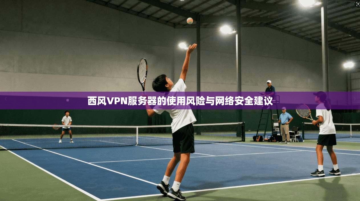 西风VPN服务器的使用风险与网络安全建议