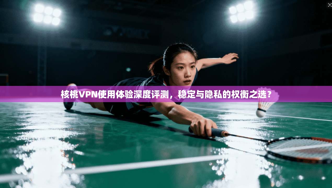 核桃VPN使用体验深度评测，稳定与隐私的权衡之选？