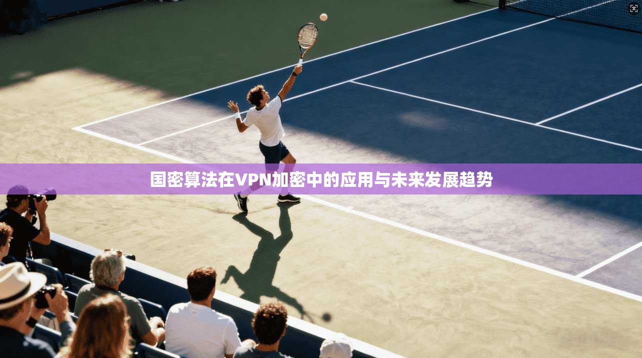 国密算法在VPN加密中的应用与未来发展趋势