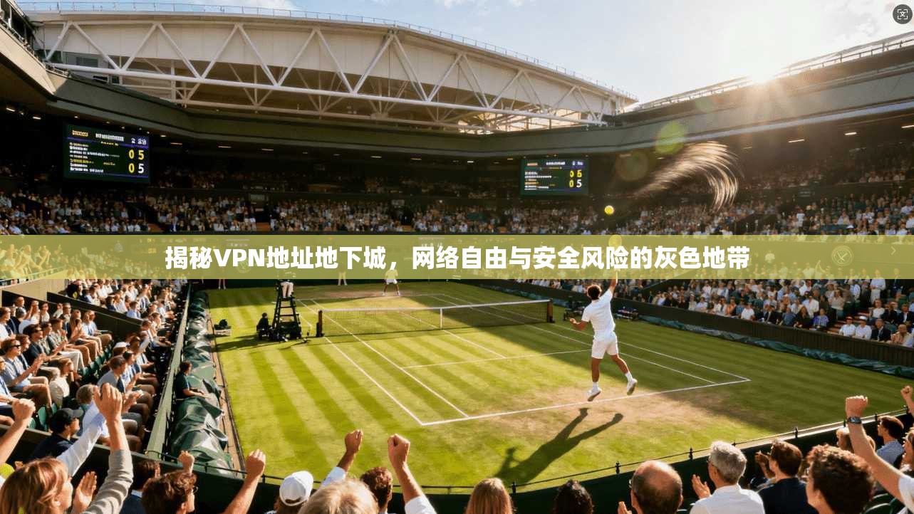揭秘VPN地址地下城，网络自由与安全风险的灰色地带