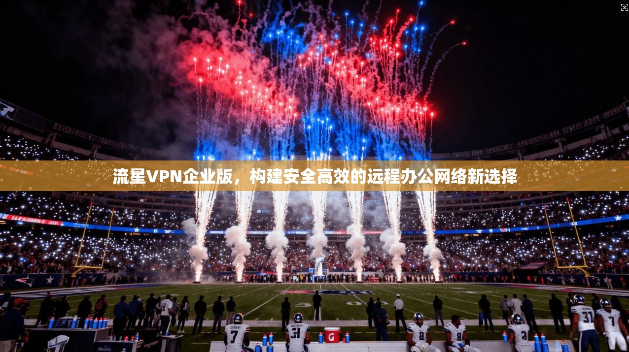 流星VPN企业版，构建安全高效的远程办公网络新选择