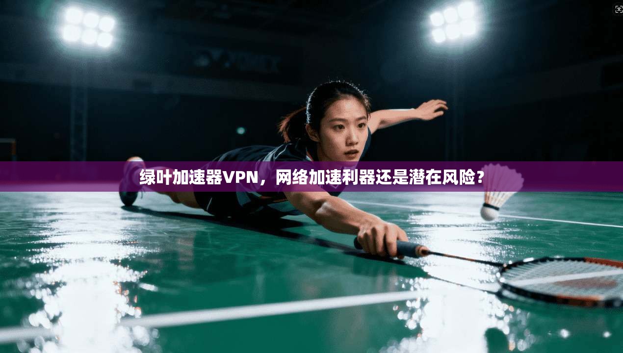 绿叶加速器VPN，网络加速利器还是潜在风险？