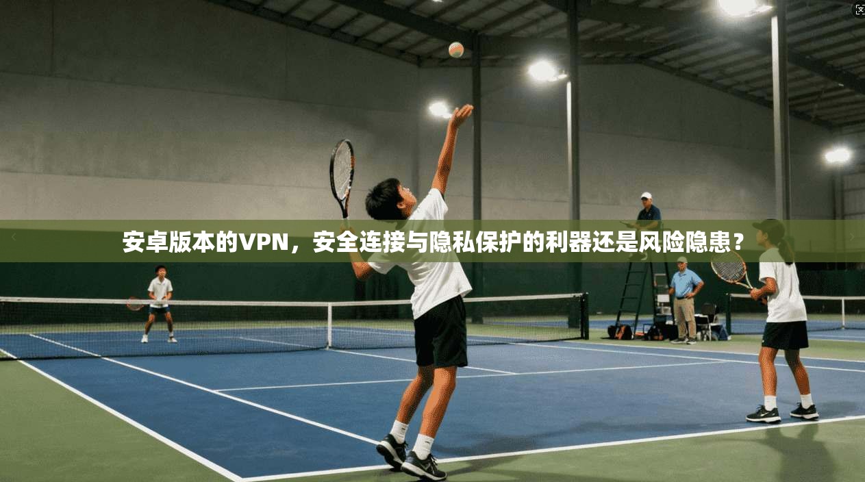 安卓版本的VPN，安全连接与隐私保护的利器还是风险隐患？
