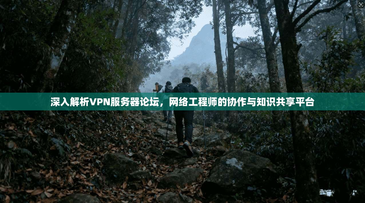 深入解析VPN服务器论坛，网络工程师的协作与知识共享平台
