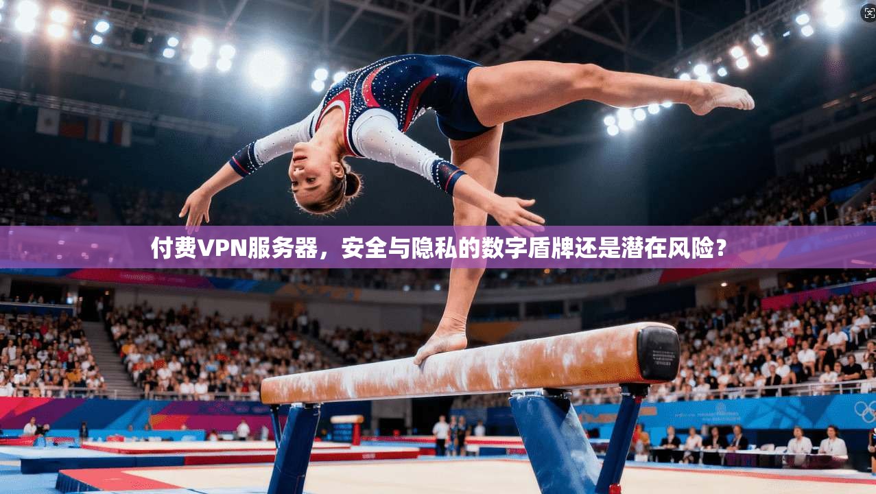 付费VPN服务器，安全与隐私的数字盾牌还是潜在风险？