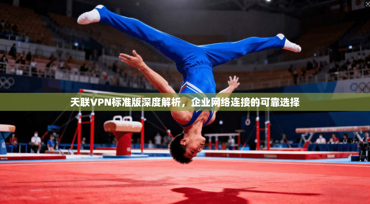天联VPN标准版深度解析，企业网络连接的可靠选择