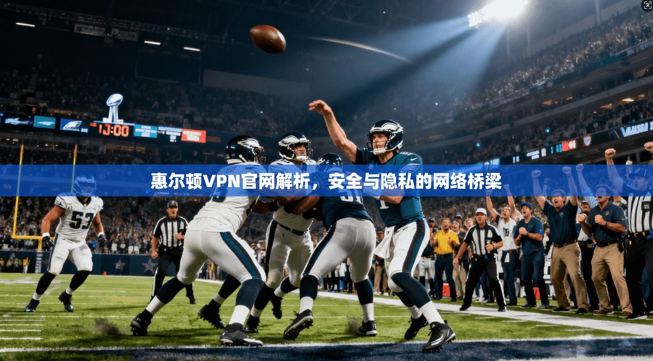惠尔顿VPN官网解析，安全与隐私的网络桥梁