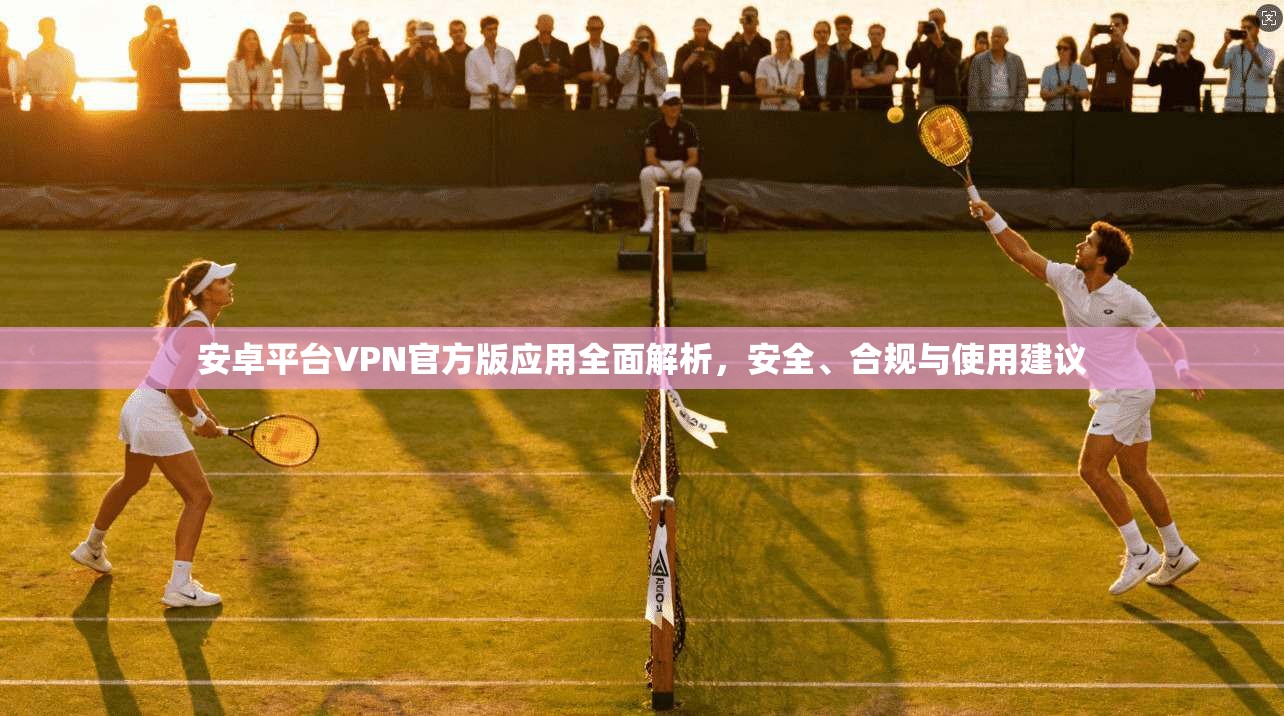 安卓平台VPN官方版应用全面解析，安全、合规与使用建议