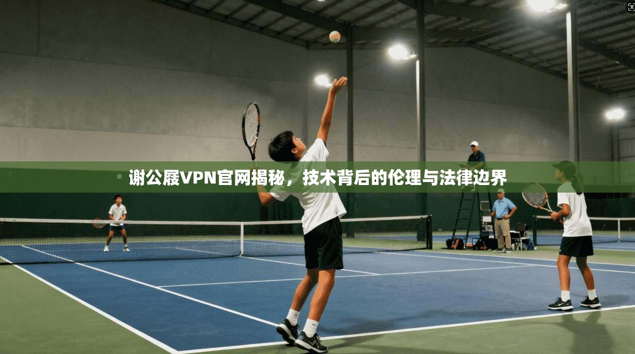 谢公屐VPN官网揭秘，技术背后的伦理与法律边界