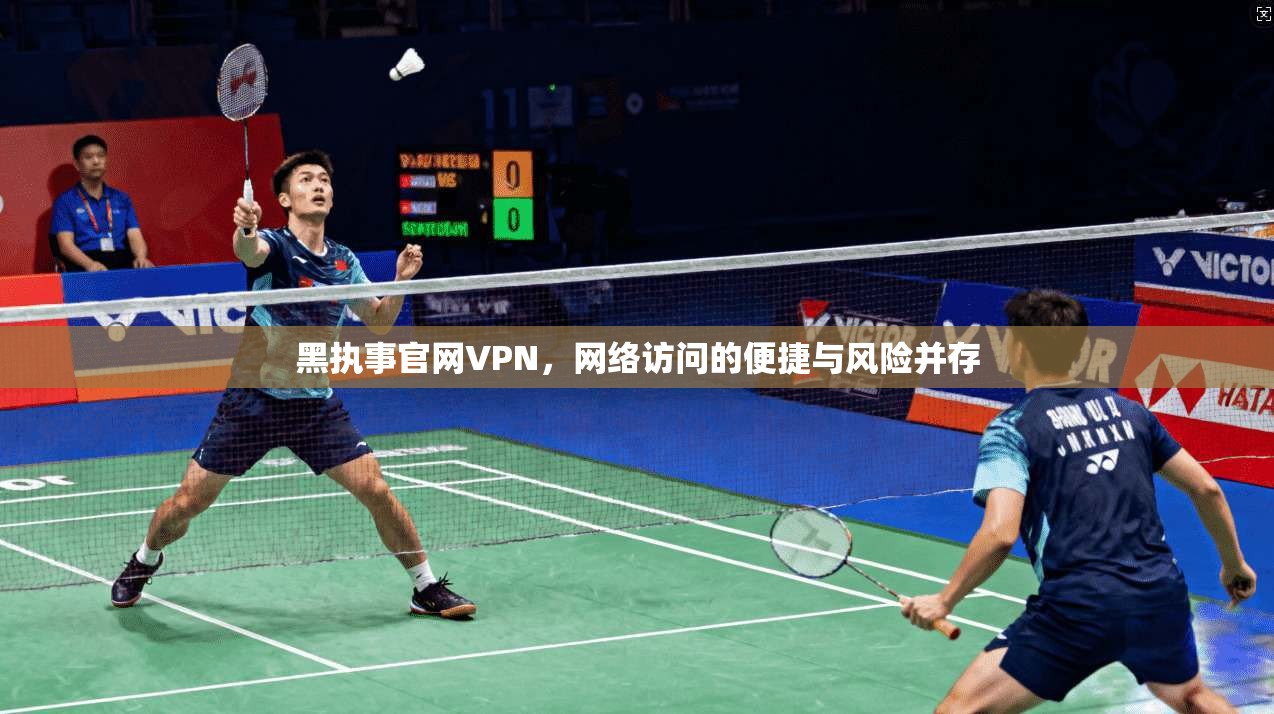 黑执事官网VPN，网络访问的便捷与风险并存