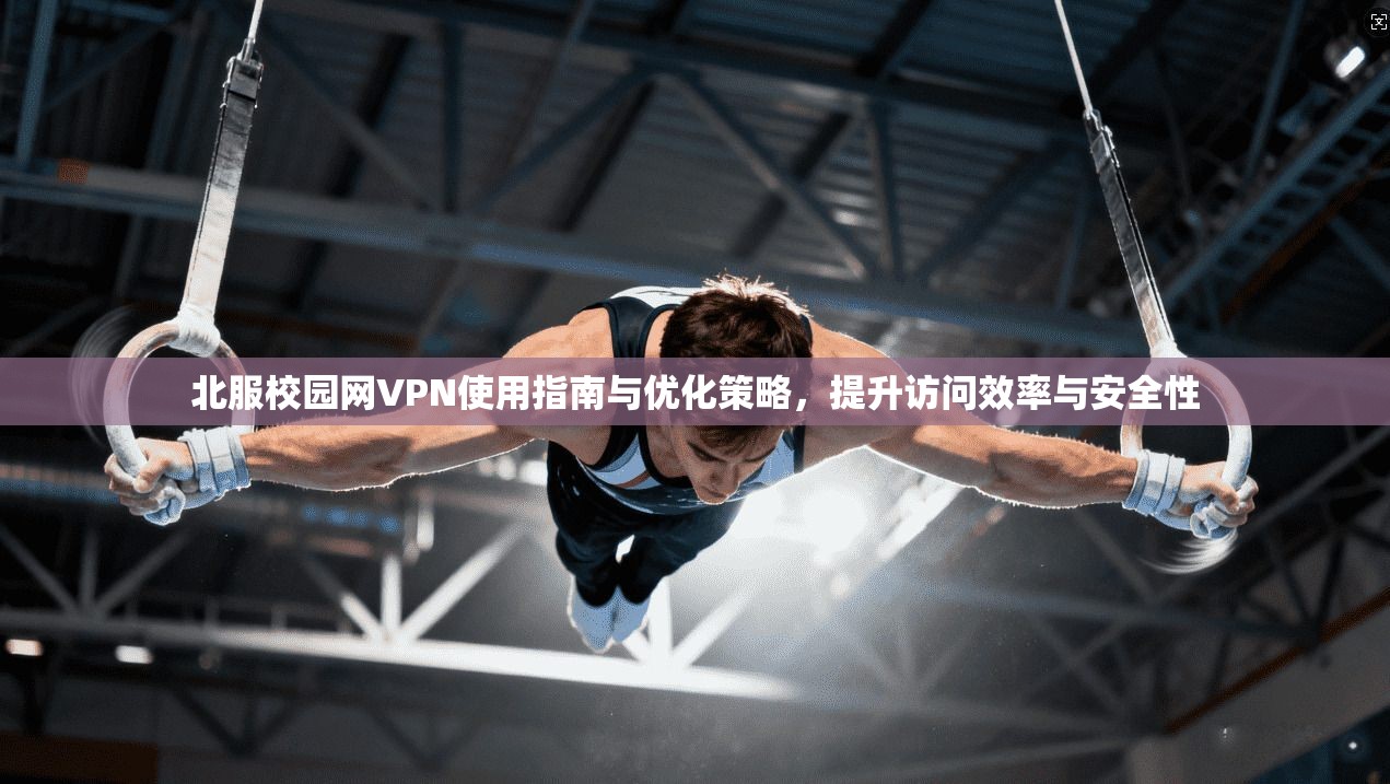 北服校园网VPN使用指南与优化策略，提升访问效率与安全性