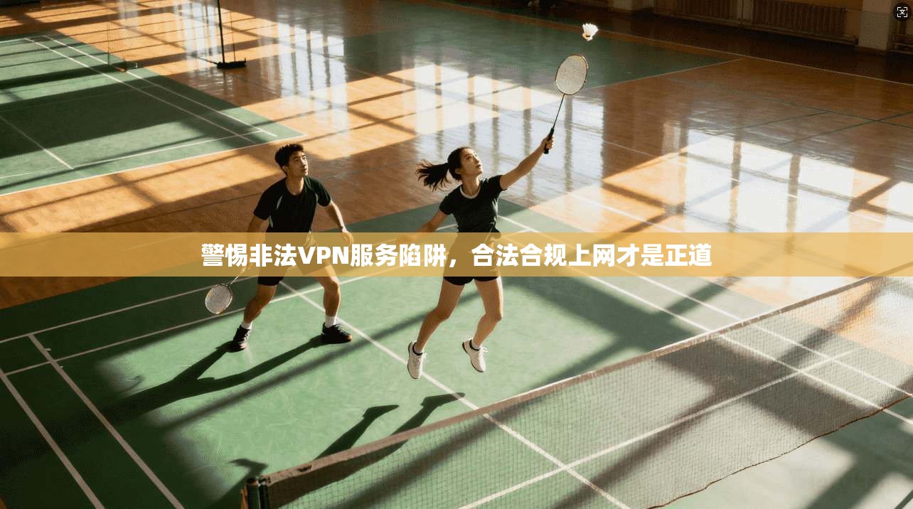 警惕非法VPN服务陷阱，合法合规上网才是正道