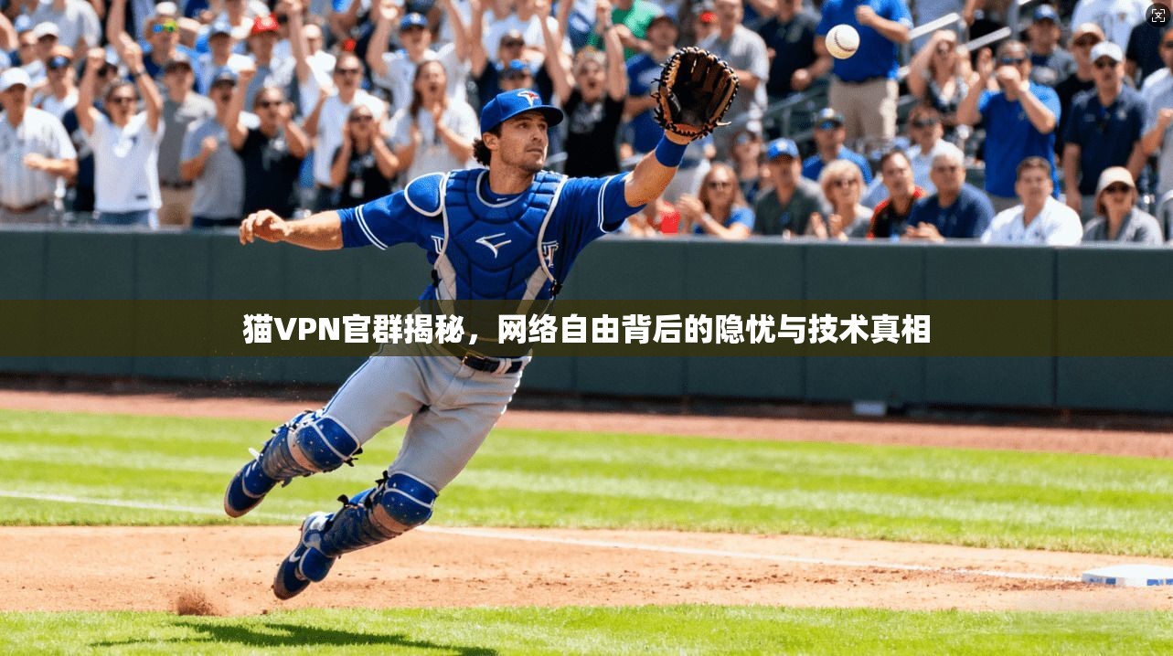 猫VPN官群揭秘，网络自由背后的隐忧与技术真相