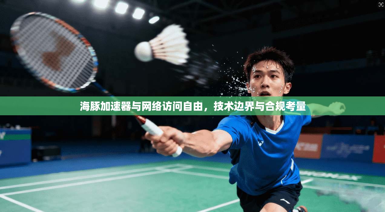 海豚加速器与网络访问自由，技术边界与合规考量