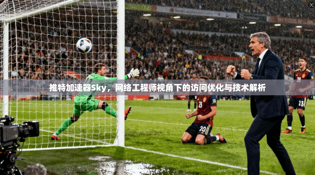 推特加速器Sky，网络工程师视角下的访问优化与技术解析