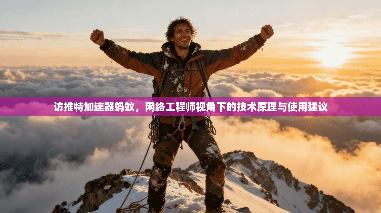 访推特加速器蚂蚁，网络工程师视角下的技术原理与使用建议