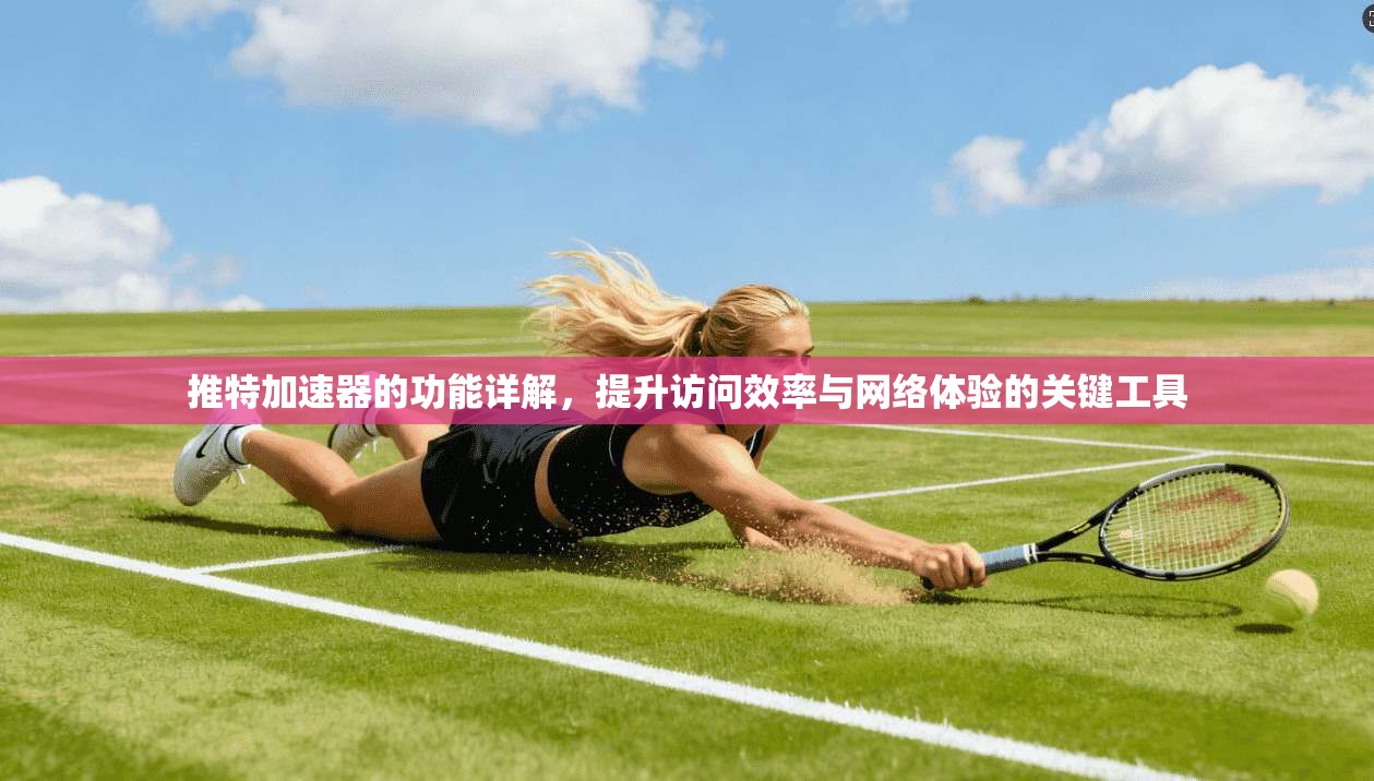 推特加速器的功能详解，提升访问效率与网络体验的关键工具