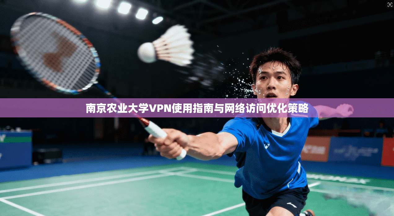 南京农业大学VPN使用指南与网络访问优化策略