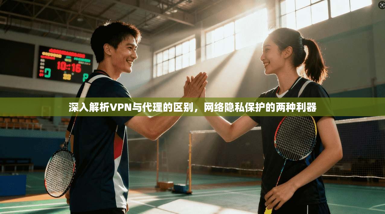 深入解析VPN与代理的区别，网络隐私保护的两种利器