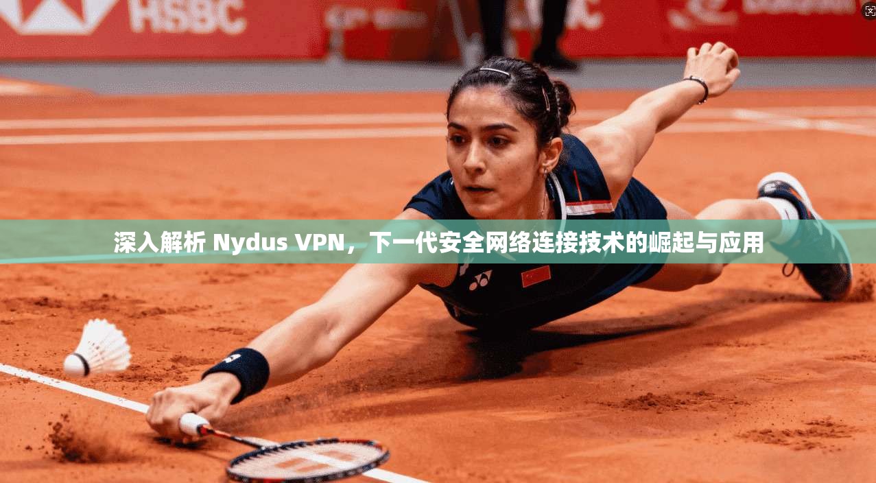 深入解析 Nydus VPN，下一代安全网络连接技术的崛起与应用