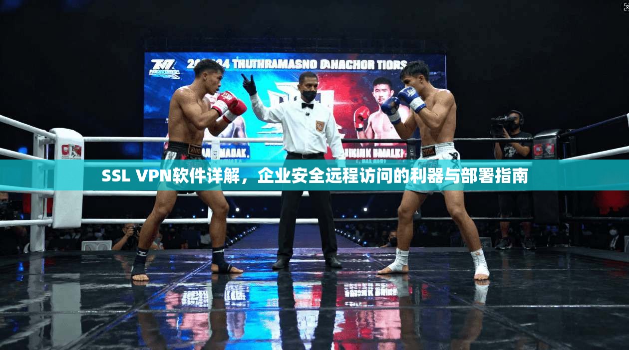 SSL VPN软件详解，企业安全远程访问的利器与部署指南