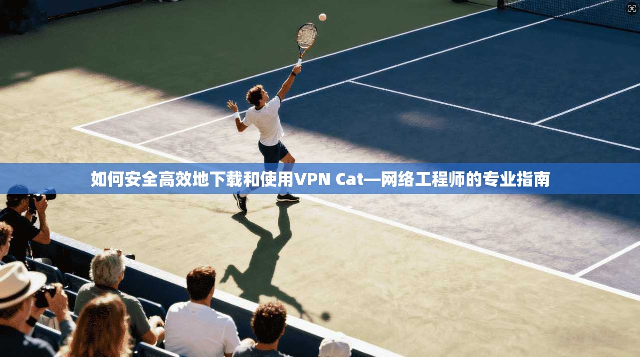 如何安全高效地下载和使用VPN Cat—网络工程师的专业指南