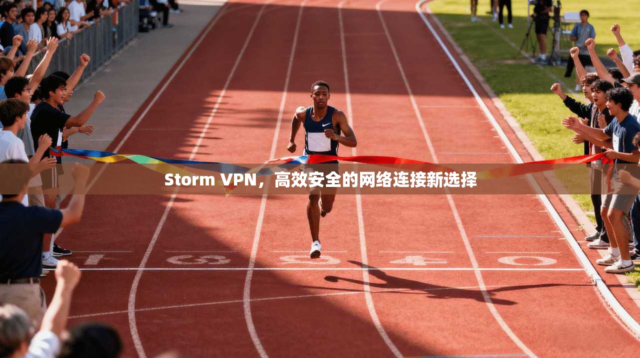 Storm VPN,高效安全的网络连接新选择