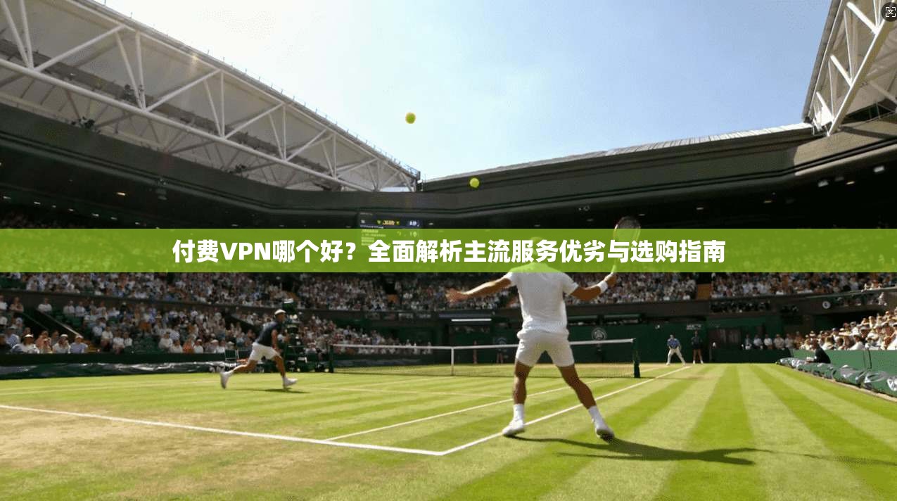 付费VPN哪个好?全面解析主流服务优劣与选购指南