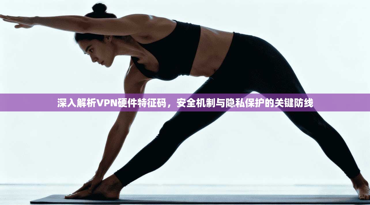 深入解析VPN硬件特征码,安全机制与隐私保护的关键防线