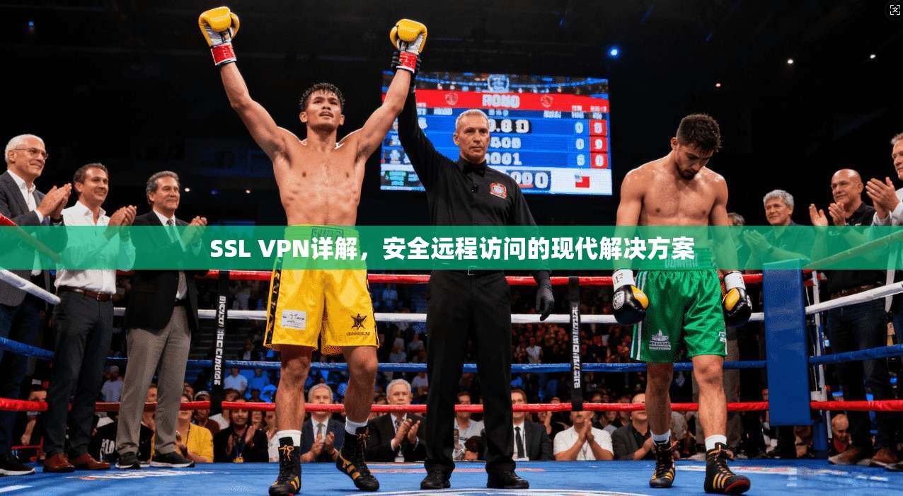 SSL VPN详解,安全远程访问的现代解决方案