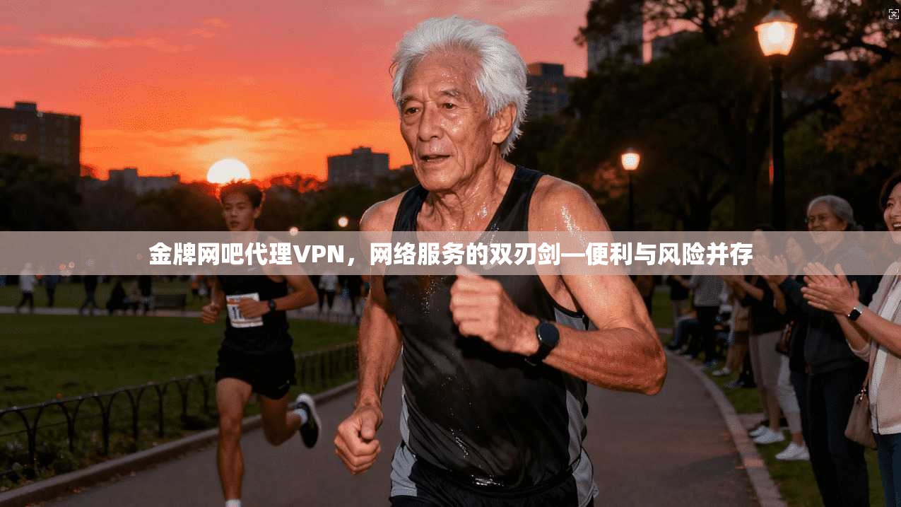 金牌网吧代理VPN，网络服务的双刃剑—便利与风险并存