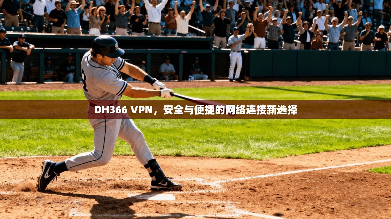 DH366 VPN，安全与便捷的网络连接新选择