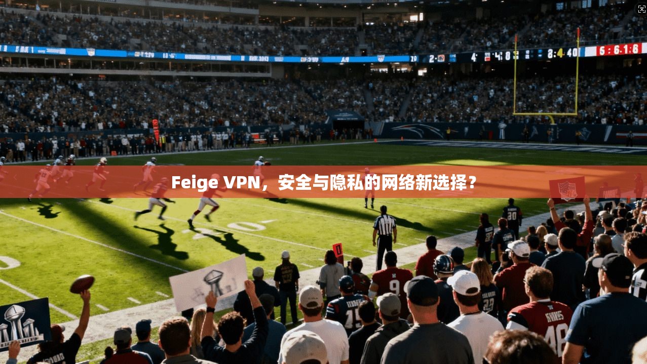 Feige VPN，安全与隐私的网络新选择？
