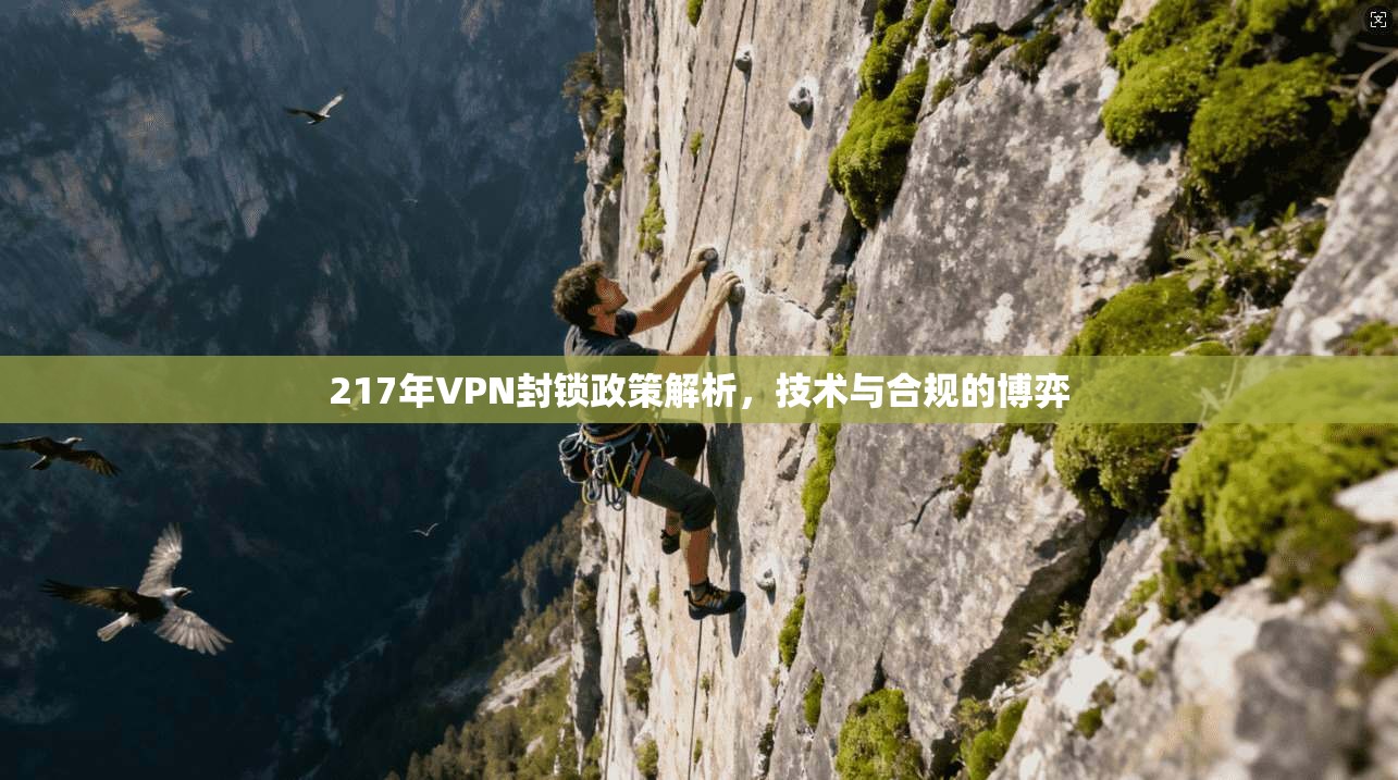 217年VPN封锁政策解析，技术与合规的博弈