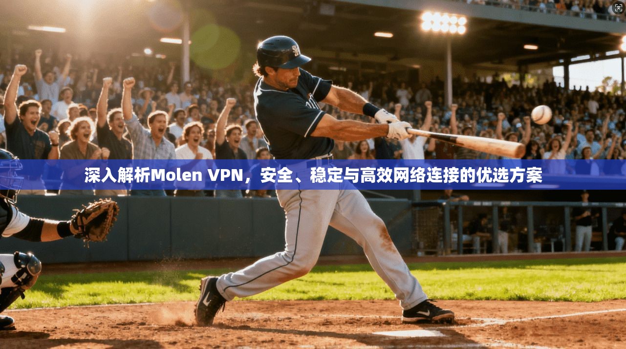 深入解析Molen VPN，安全、稳定与高效网络连接的优选方案