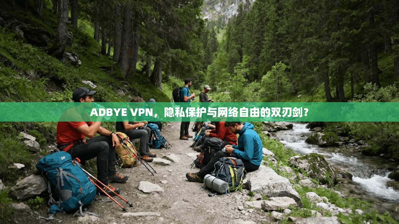 ADBYE VPN，隐私保护与网络自由的双刃剑？