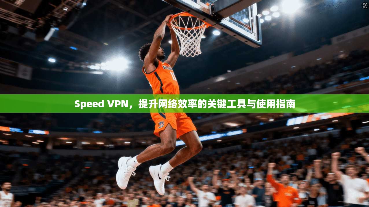 Speed VPN，提升网络效率的关键工具与使用指南