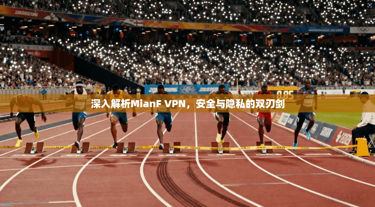 深入解析MianF VPN，安全与隐私的双刃剑