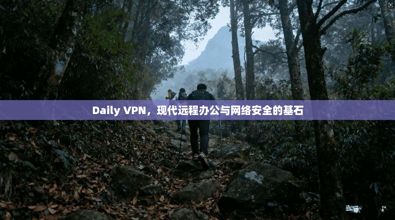 Daily VPN，现代远程办公与网络安全的基石