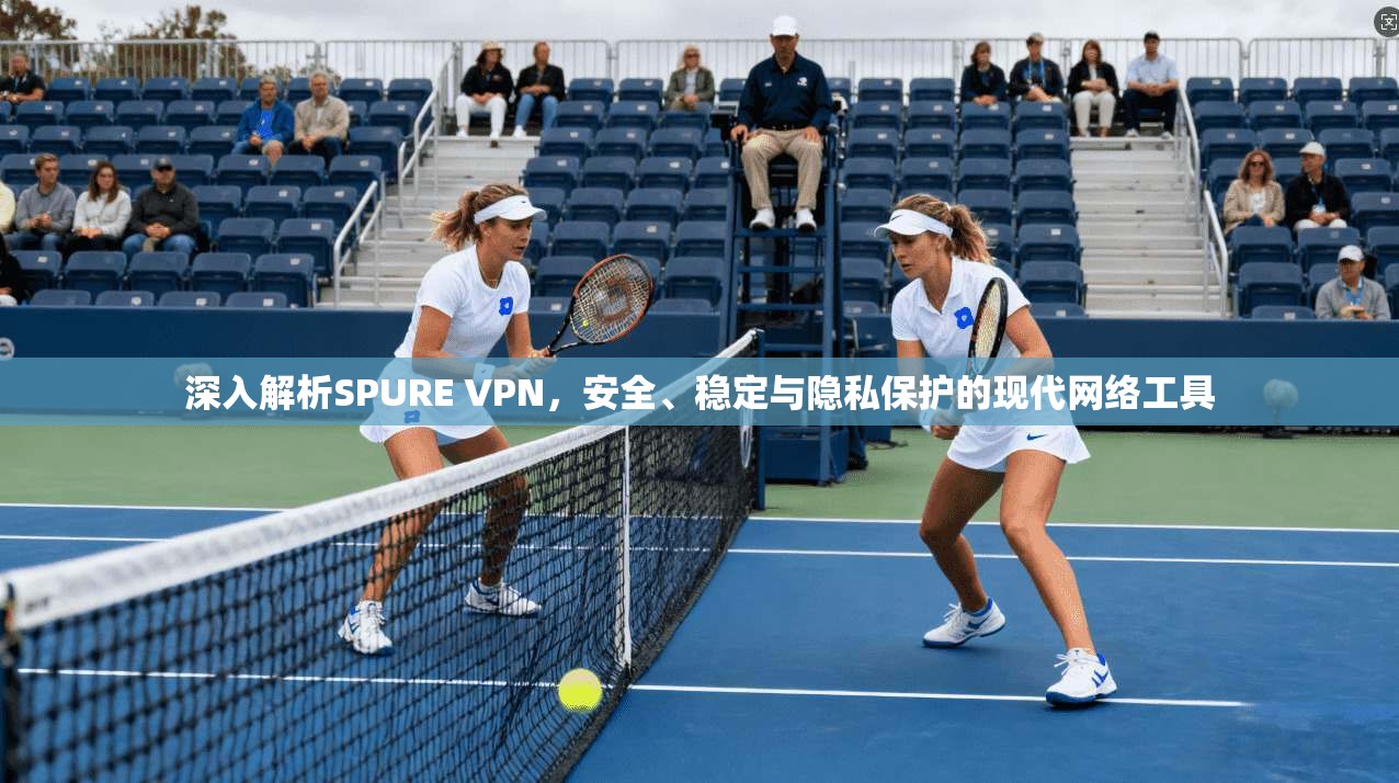 深入解析SPURE VPN，安全、稳定与隐私保护的现代网络工具