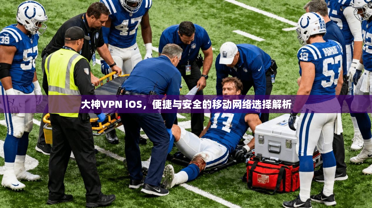 大神VPN iOS，便捷与安全的移动网络选择解析