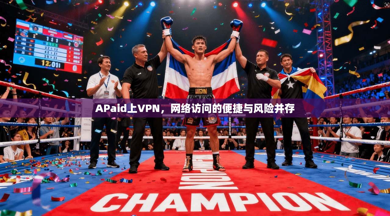 APaid上VPN，网络访问的便捷与风险并存