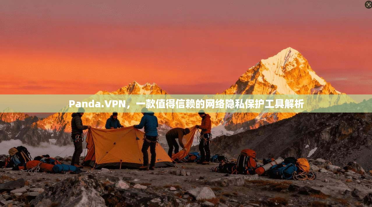 Panda.VPN，一款值得信赖的网络隐私保护工具解析