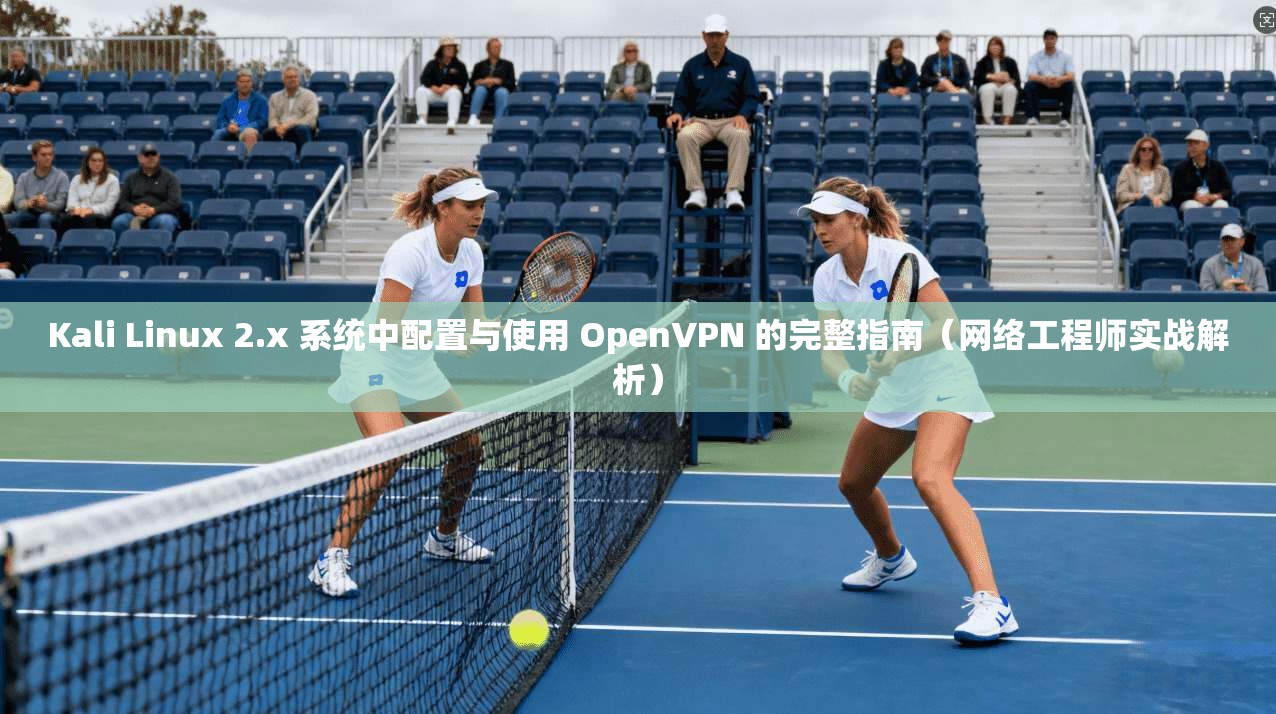 Kali Linux 2.x 系统中配置与使用 OpenVPN 的完整指南（网络工程师实战解析）