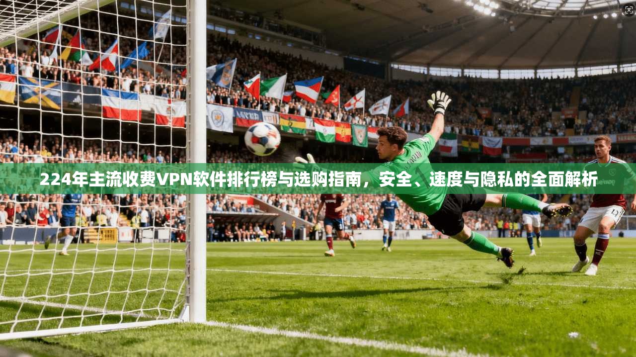 224年主流收费VPN软件排行榜与选购指南，安全、速度与隐私的全面解析
