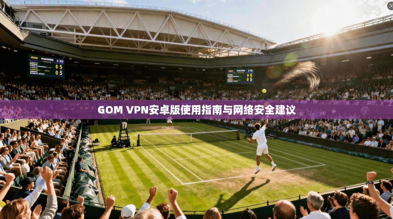 GOM VPN安卓版使用指南与网络安全建议