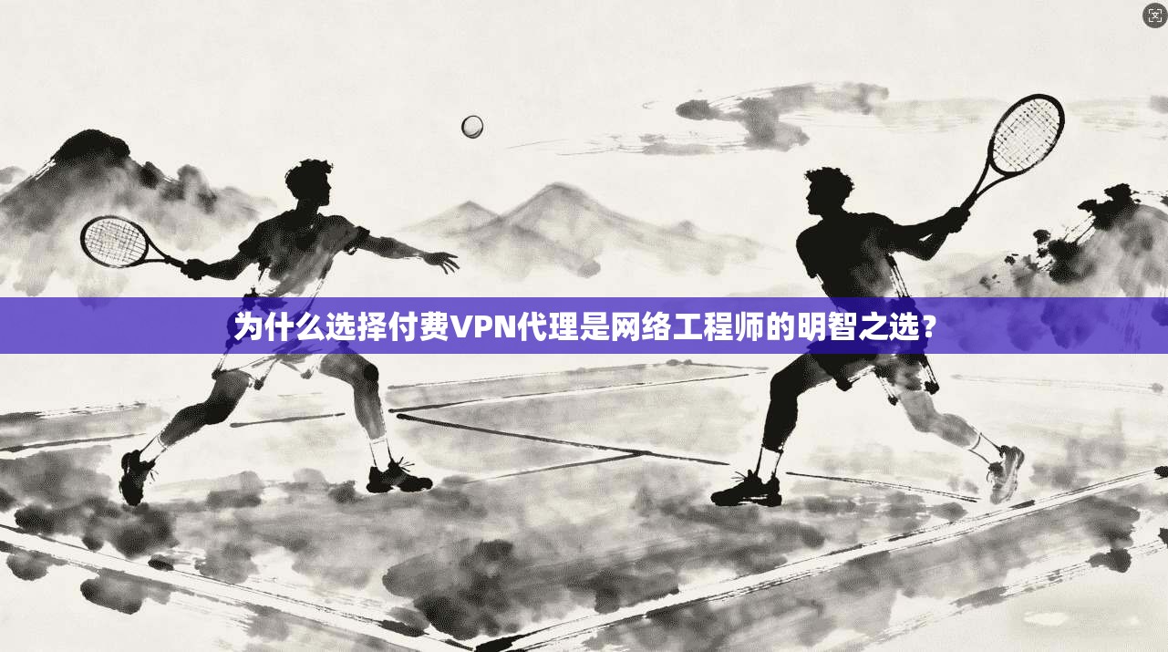 为什么选择付费VPN代理是网络工程师的明智之选？